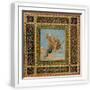White Frame