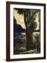 Brown Frame