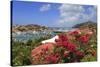 Gustavia, St. Barthelemy (St. Barts), Leeward Islands, West Indies, Caribbean, Central America-Richard Cummins-Stretched Canvas