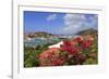 Gustavia, St. Barthelemy (St. Barts), Leeward Islands, West Indies, Caribbean, Central America-Richard Cummins-Framed Photographic Print