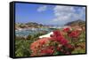 Gustavia, St. Barthelemy (St. Barts), Leeward Islands, West Indies, Caribbean, Central America-Richard Cummins-Framed Stretched Canvas