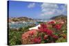 Gustavia, St. Barthelemy (St. Barts), Leeward Islands, West Indies, Caribbean, Central America-Richard Cummins-Stretched Canvas