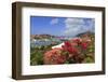 Gustavia, St. Barthelemy (St. Barts), Leeward Islands, West Indies, Caribbean, Central America-Richard Cummins-Framed Photographic Print