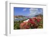 Gustavia, St. Barthelemy (St. Barts), Leeward Islands, West Indies, Caribbean, Central America-Richard Cummins-Framed Photographic Print