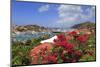 Gustavia, St. Barthelemy (St. Barts), Leeward Islands, West Indies, Caribbean, Central America-Richard Cummins-Mounted Photographic Print