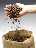 Coffee Beans Falling from Someone's Hand into a Sack-Gustavo Andrade-Photographic Print