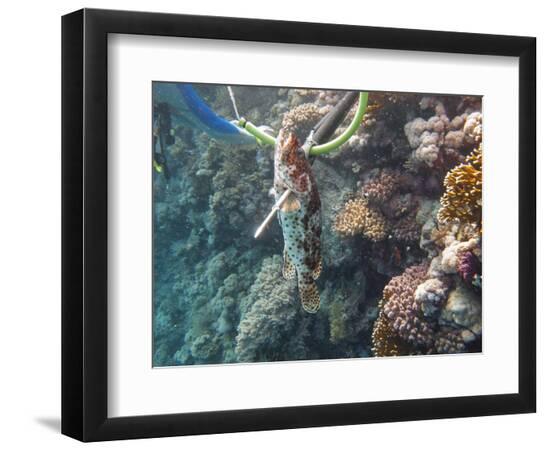 Premium Photographic Print, , large