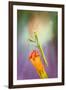Gramercy Espresso