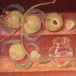 Fresco of Water Pot and Fruit in Pompeii Kitchen-Gustavo Tomsich-Framed Giclee Print