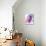 Gustavo Watercolor-Anna Malkin-Mounted Art Print displayed on a wall