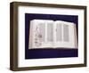 Gutenberg Bible: Book of Daniel-null-Framed Giclee Print