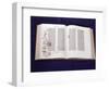 Gutenberg Bible: Book of Daniel-null-Framed Giclee Print