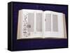 Gutenberg Bible: Book of Daniel-null-Framed Stretched Canvas
