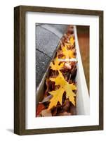 Gutter Full of Leaves-soupstock-Framed Photographic Print