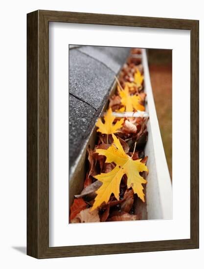 Gutter Full of Leaves-soupstock-Framed Photographic Print