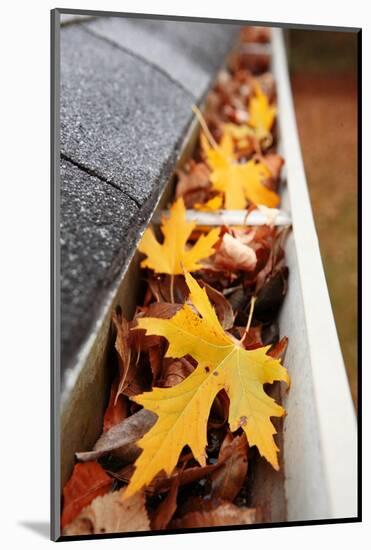 Gutter Full of Leaves-soupstock-Mounted Photographic Print