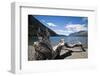 Guttierez Lake in Estancia Peuma Hue, Lake District, Patagonia, Argentina, South America-Yadid Levy-Framed Photographic Print