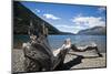 Guttierez Lake in Estancia Peuma Hue, Lake District, Patagonia, Argentina, South America-Yadid Levy-Mounted Photographic Print