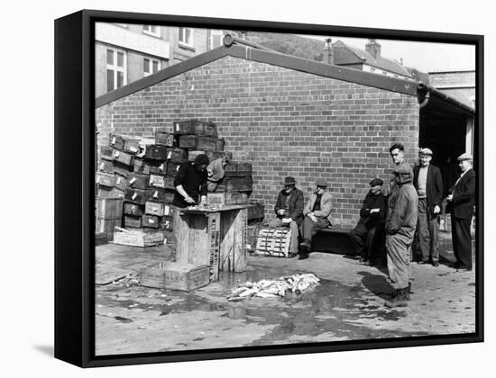 Gutting Fish Outside a Warehouse in Whitby, North Yorkshire, 1959-null-Framed Stretched Canvas