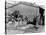 Gutting Fish Outside a Warehouse in Whitby, North Yorkshire, 1959-null-Stretched Canvas