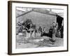 Gutting Fish Outside a Warehouse in Whitby, North Yorkshire, 1959-null-Framed Photographic Print