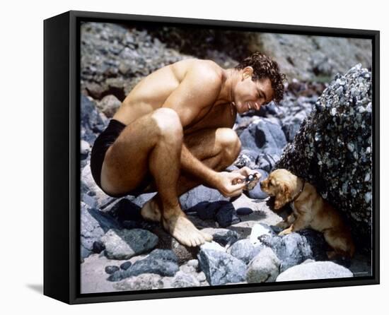 Guy Madison-null-Framed Stretched Canvas