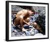 Guy Madison-null-Framed Photo