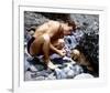 Guy Madison-null-Framed Photo