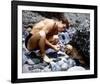 Guy Madison-null-Framed Photo