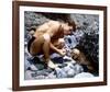 Guy Madison-null-Framed Photo