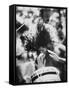 Guy Playing Drums at Woodstock Music Festival-null-Framed Stretched Canvas