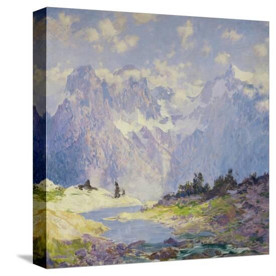 Stretched Canvas Print, , large
