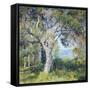 Canvas Black