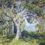 Laminate