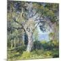 Wood Mount