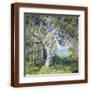 Brown Frame