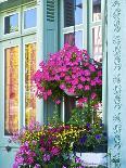 Window With Flowers, France, Europe-Guy Thouvenin-Photographic Print