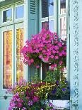 Beautiful Sevillan Patio, Triana District, Sevilla, Andalusia, Spain, Europe-Guy Thouvenin-Photographic Print