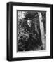 Guy Williams-null-Framed Photo