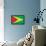 Guyana Flag Design with Wood Patterning - Flags of the World Series-Philippe Hugonnard-Framed Stretched Canvas displayed on a wall