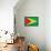 Guyana Flag Design with Wood Patterning - Flags of the World Series-Philippe Hugonnard-Framed Stretched Canvas displayed on a wall