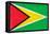 Guyana Flag Design with Wood Patterning - Flags of the World Series-Philippe Hugonnard-Framed Stretched Canvas