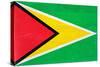 Guyana Flag Design with Wood Patterning - Flags of the World Series-Philippe Hugonnard-Stretched Canvas