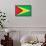 Guyana Flag Design with Wood Patterning - Flags of the World Series-Philippe Hugonnard-Framed Stretched Canvas displayed on a wall