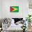 Guyana Flag Design with Wood Patterning - Flags of the World Series-Philippe Hugonnard-Framed Stretched Canvas displayed on a wall