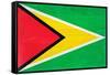 Guyana Flag Design with Wood Patterning - Flags of the World Series-Philippe Hugonnard-Framed Stretched Canvas