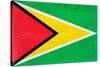 Guyana Flag Design with Wood Patterning - Flags of the World Series-Philippe Hugonnard-Stretched Canvas