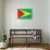 Guyana Flag Design with Wood Patterning - Flags of the World Series-Philippe Hugonnard-Art Print displayed on a wall