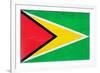 Guyana Flag Design with Wood Patterning - Flags of the World Series-Philippe Hugonnard-Framed Art Print