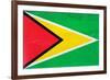 Guyana Flag Design with Wood Patterning - Flags of the World Series-Philippe Hugonnard-Framed Art Print